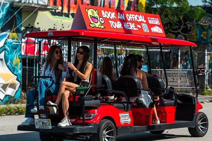 Direct Entry: Wynwood Walls & Neighborhood Buggy Tour