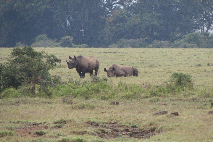 3 days group joining maasai mara tour