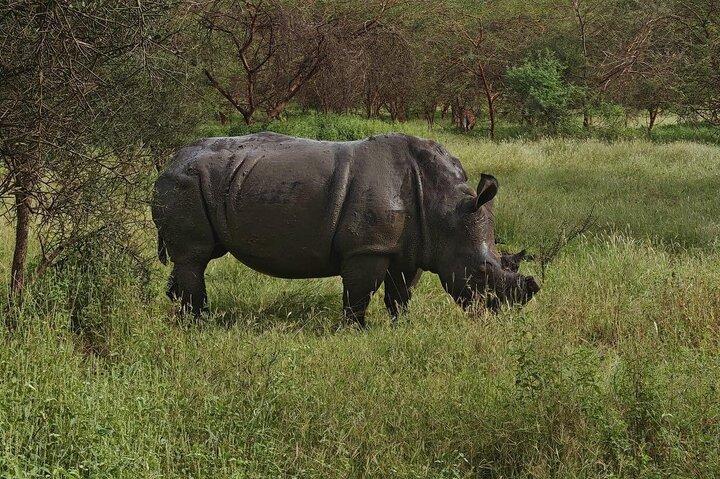 Discover Bandia Safari and the Pink Lake 2 Participants Minimum