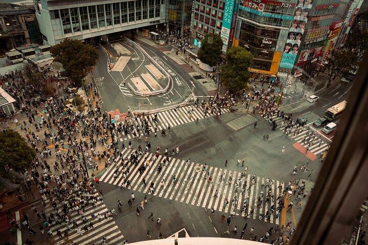 Dynamic Tokyo Private Custom Walking Tour