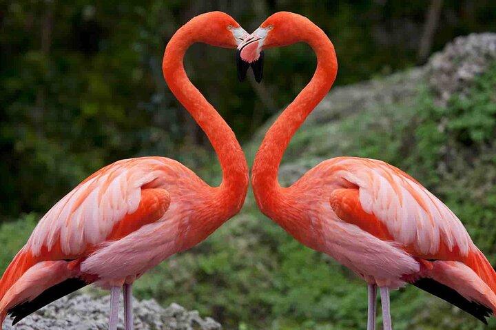 A Day to Nakuru National Park and Lake Naivasha Boat Ride