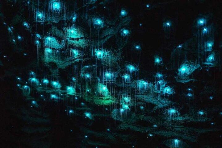 Private Tour: Ruakuri Cave, Waitomo Glowworm & Hobbiton Movie Set