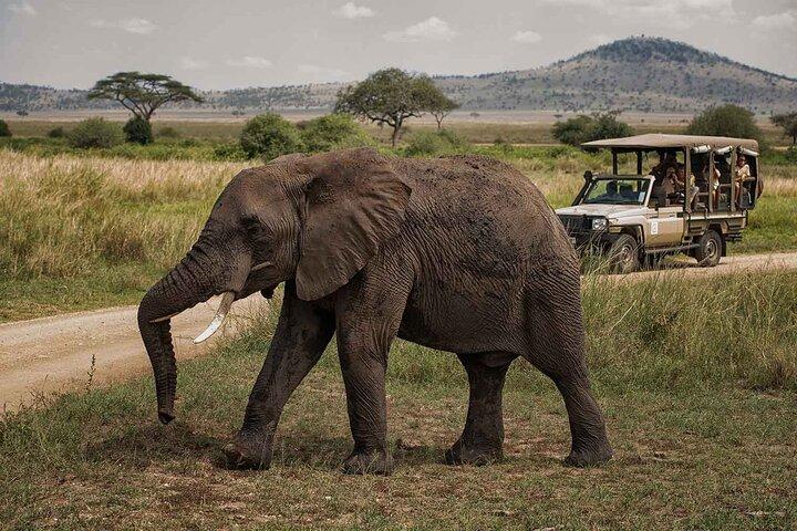 4 Days Tarangire Serengeti Ngorongoro Crater
