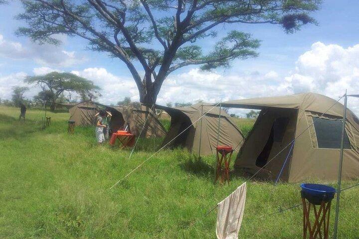 3 Days Small Group Safari to Serengeti NP and Ngorongoro Crater
