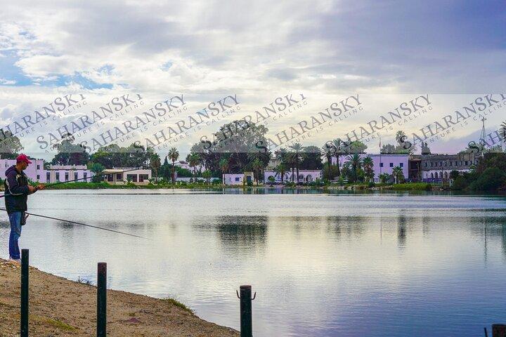 Carthage, Bardo Museum, Sidi Bou Said and Medina Private Day Tour