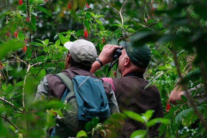 Puerto Maldonado: 2 Days Sandoval Tour - Tambopata Amazon Jungle