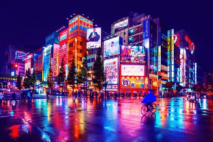 Tokyo Private Tour by Luxury Green Plate Car with Guide