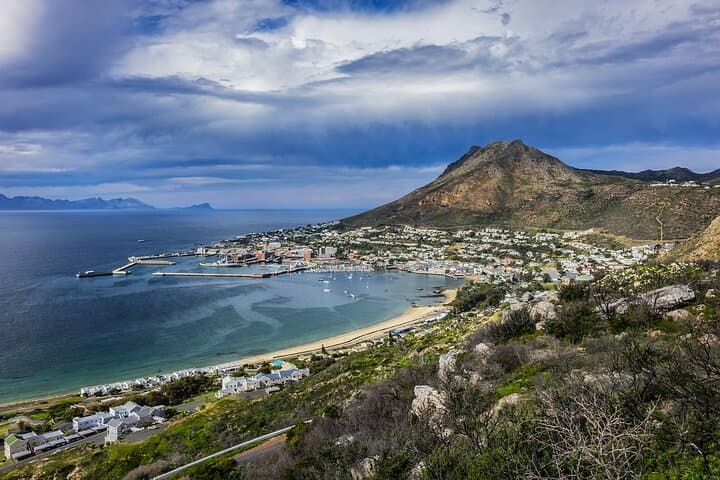 Shark Cage Diving Cape Town