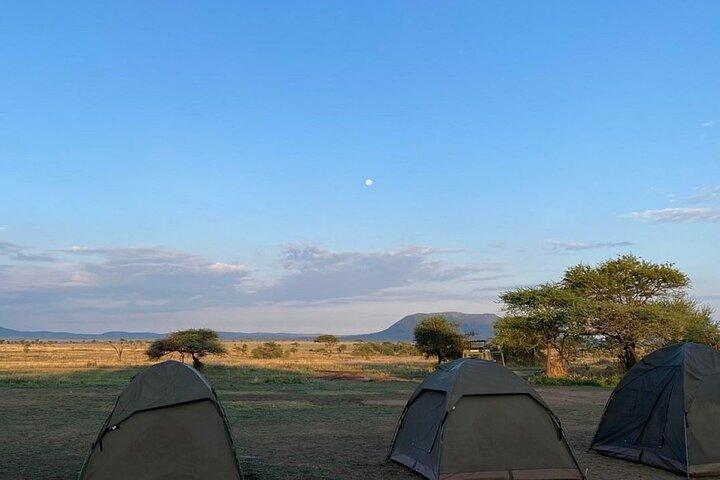 4 Days Serengeti & Ngorongoro Group Budget Safari-Tanzania