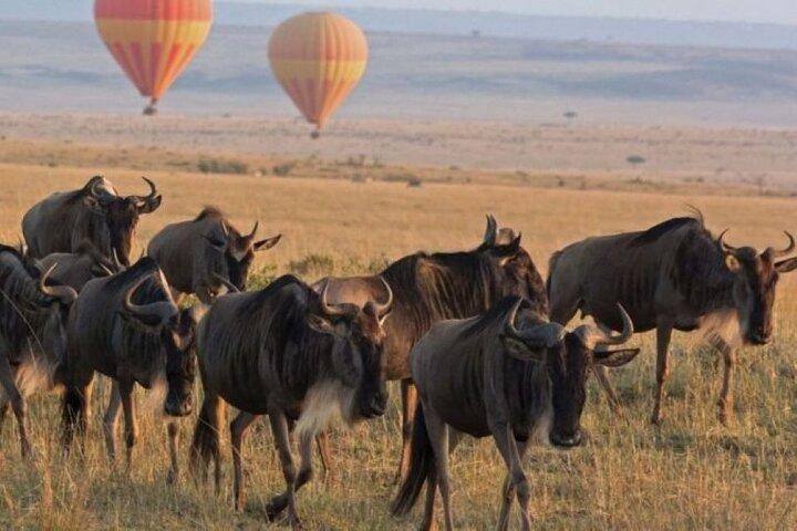 4 Days Serengeti & Ngorongoro Group Budget Safari-Tanzania