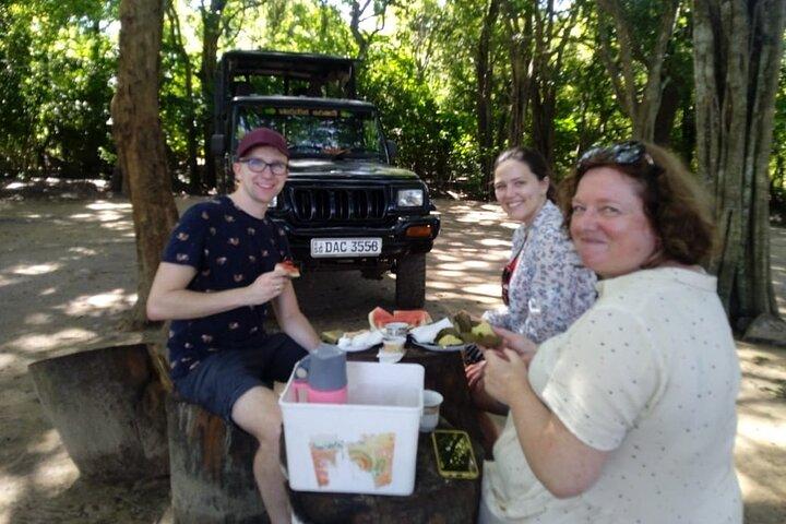 4 Hour Udawalawe National Park Private Safari Tour