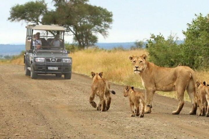 8 Days, 7 Nights Kenya and Tanzania Private Safari Package