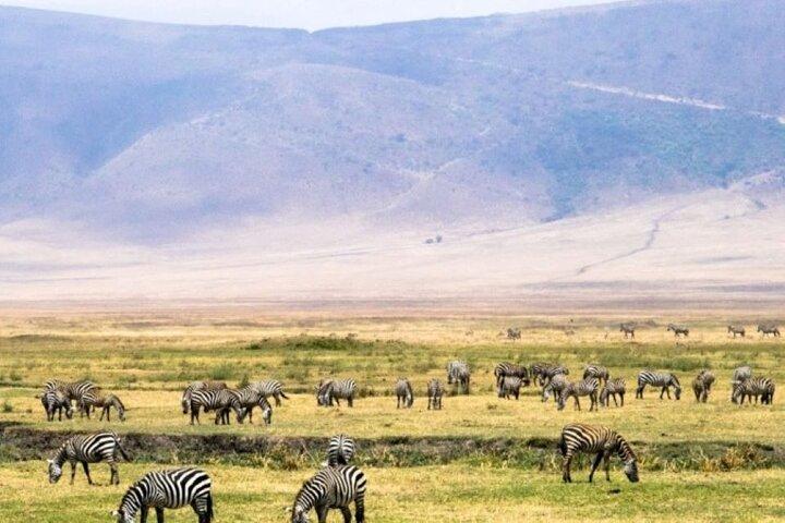 8 Days, 7 Nights Kenya and Tanzania Private Safari Package