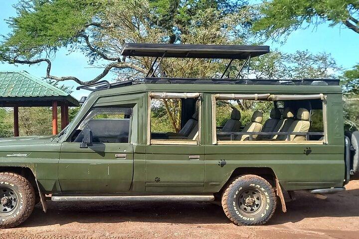 Nairobi National Park Guided Game Drive Wildlife Experience
