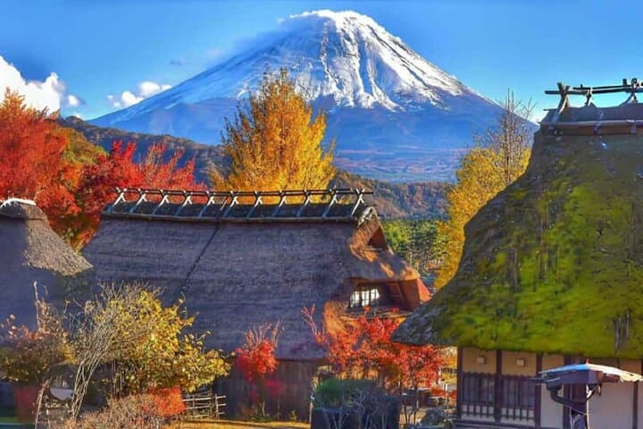Mount Fuji Day Tour:Lake Kawaguchi, HealingVillage,Oshino Hakkai