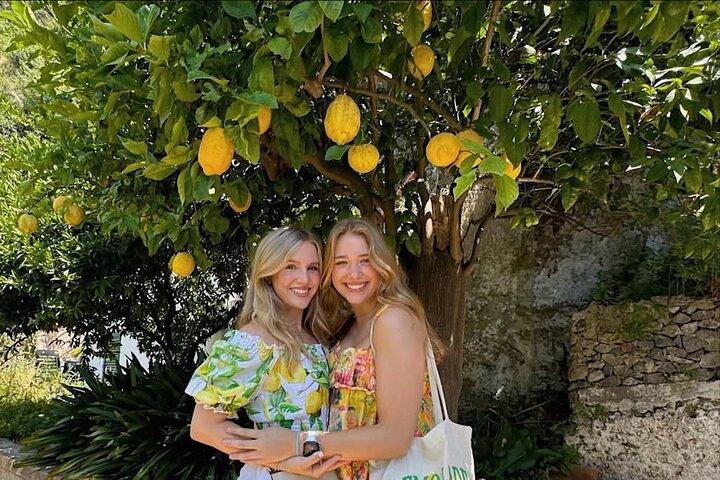Authentic Amalfi Lemon Tour & Tasting in the Historical Garden