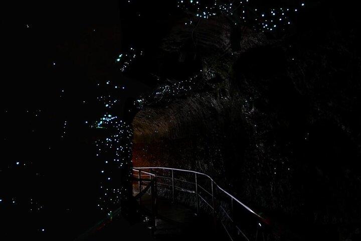 Brisbane Tamborine Mountain Hop-On Hop-Off + Skywalk & Glow Worms
