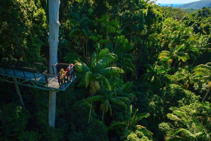 Brisbane Tamborine Mountain Hop-On Hop-Off + Skywalk & Glow Worms