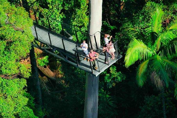 Brisbane Tamborine Mountain Hop-On Hop-Off + Skywalk & Glow Worms