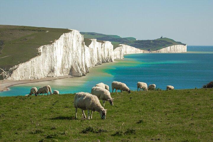 Sussex Coast Road Trip Guidebook - Seven Sisters & Brighton