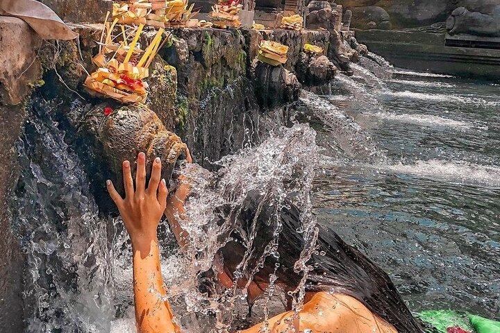 Ubud: Waterfalls, Water Temple & Rice Terraces Private Tour