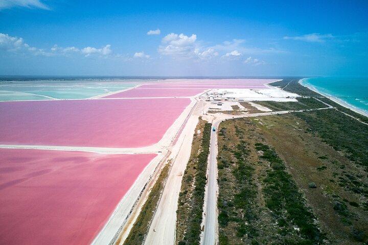 Las Coloradas Pink Lake & Rio Lagartos Guided Tour + Entry Fees