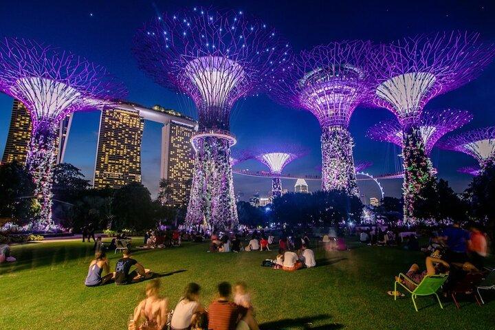 Private :Magical Nights in River Cruises and Stunning Light Shows