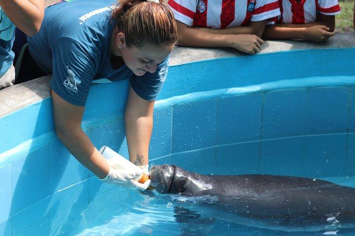 Amazon Rescue Center - Manatees Conservation Center Admission Ticket