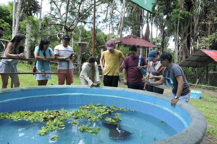 Amazon Rescue Center - Manatees Conservation Center Admission Ticket