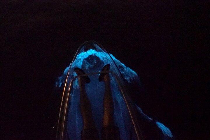 Clear Kayaks Bioluminescent Bay Tours in Vieques PR