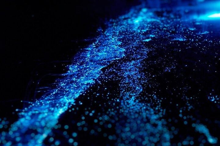 Cat Ba: Sunset & Bioluminescent Kayaking on Lan Ha Bay