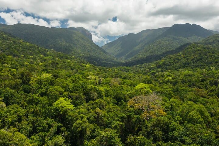 Small Group Daintree Rainforest and Aboriginal Coastal Adventure