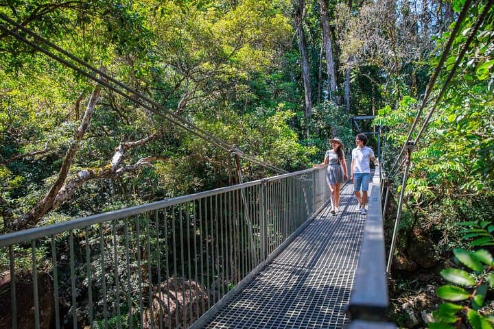 Daintree Rainforest and Cape Tribulation Day Tour from Cairns