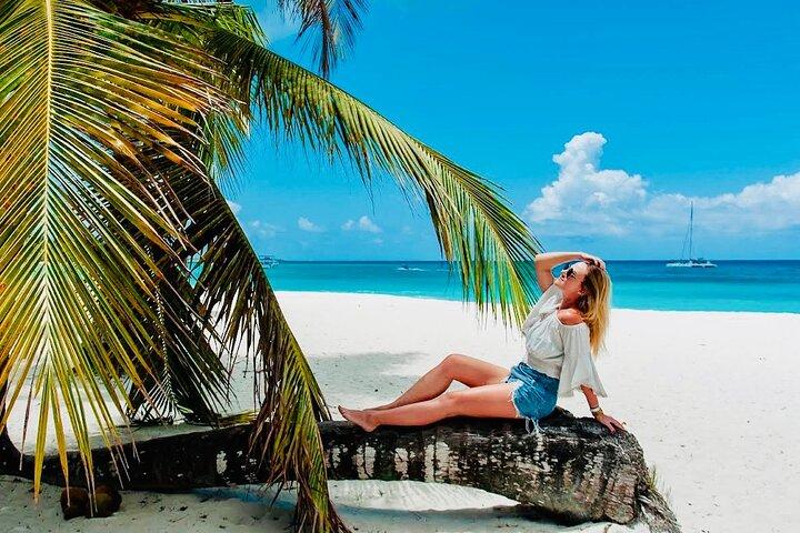 From Santo Domingo: Saona Island For Small Group Catamaran
