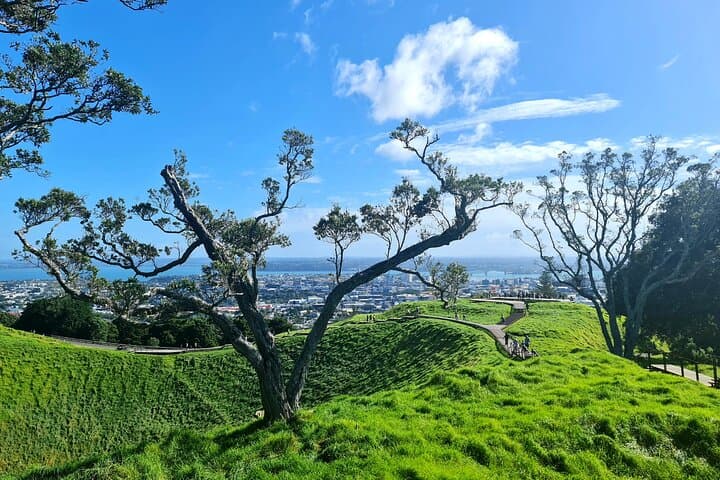 Auckland Hidden Gem Half Day Tour