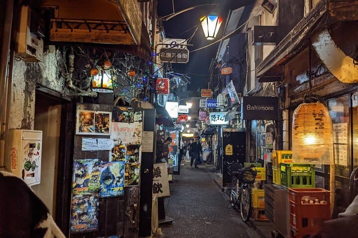 Tokyo: Shinjuku Golden Gai Bar Hopping that only locals know