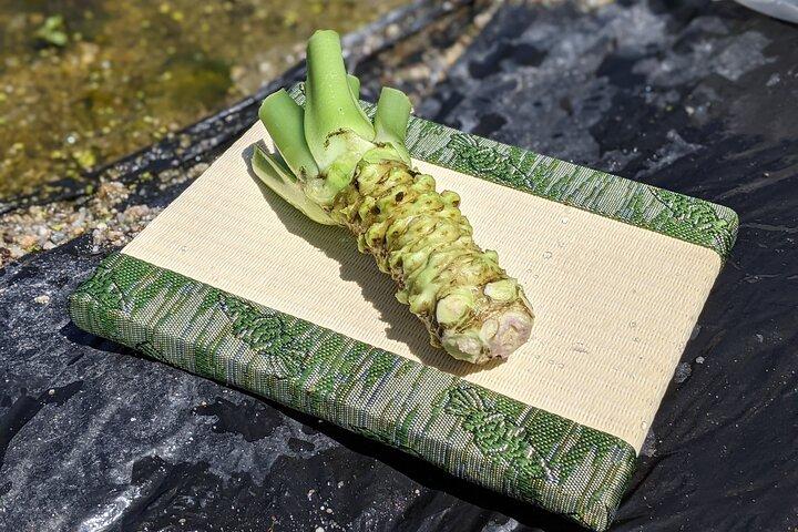 Wasabi Farm Walking Tour & Lunch