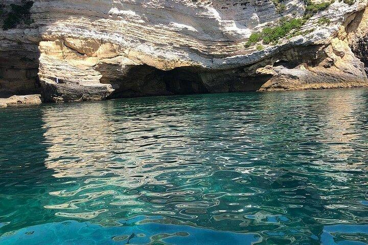 Tour of Ortigia Island and the sea caves