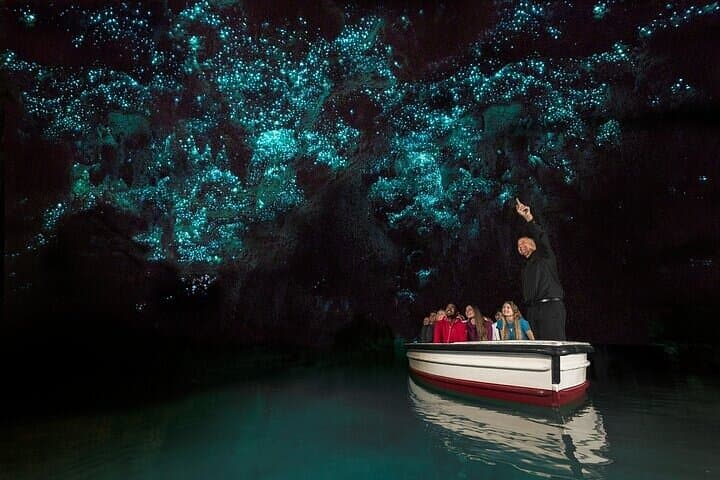 Hobbiton Movie Set & Waitomo Glow Worm Caves Private Tour