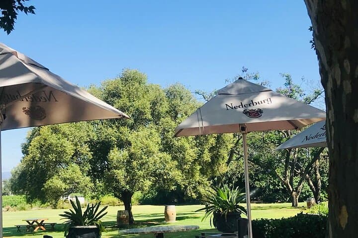Aquila Private Game Reserve Safari Tour with Wine Tasting