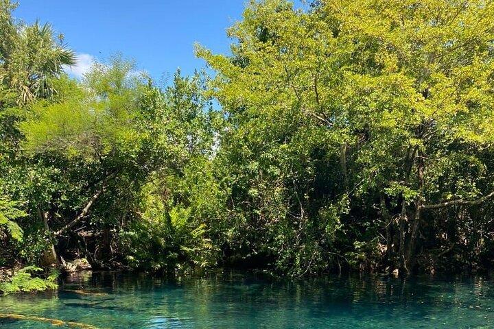 Blue Lagoon Tour with Catamaran Cruise and Snorkeling