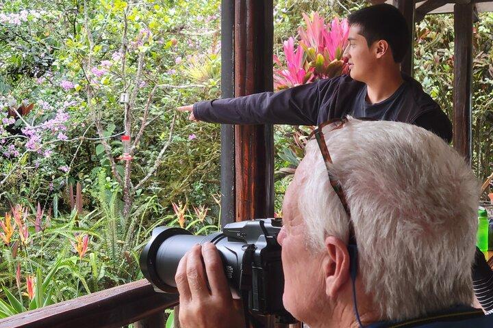 Mindo Cloud Forest Day Trip from Quito