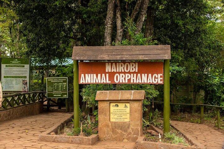 Safari Walk And Animal Orphanage in Nairobi National Park