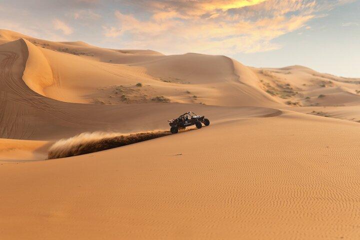 Dune Buggy Experience & Fossil Discovery in Mleiha National Park
