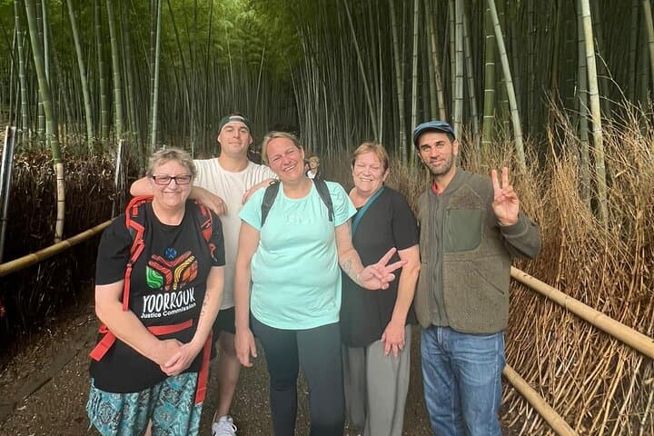 Tailored Full Day Private Experience of Kyoto for 1 Day Visitors