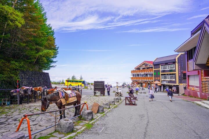 Mt. Fuji Private Chartered Tour with Nature and Wasabi Farm