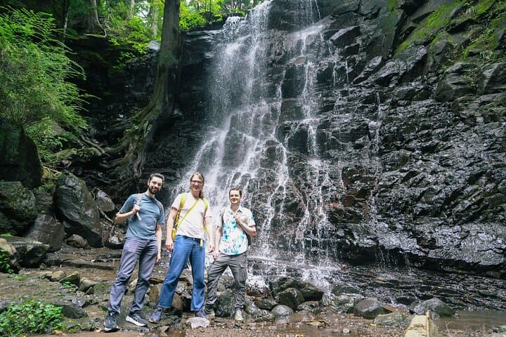 Mt. Fuji Private Chartered Tour with Nature and Wasabi Farm