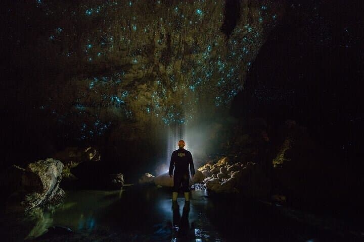 Waitomo Glow Worm Caves