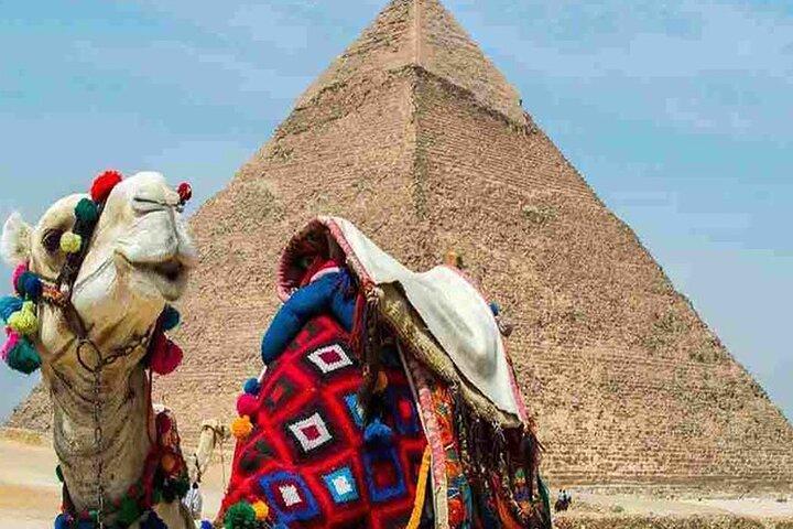 Proposal At the Pyramids