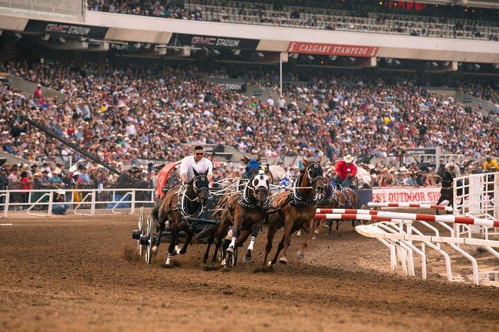 Calgary Stampede Evening Show